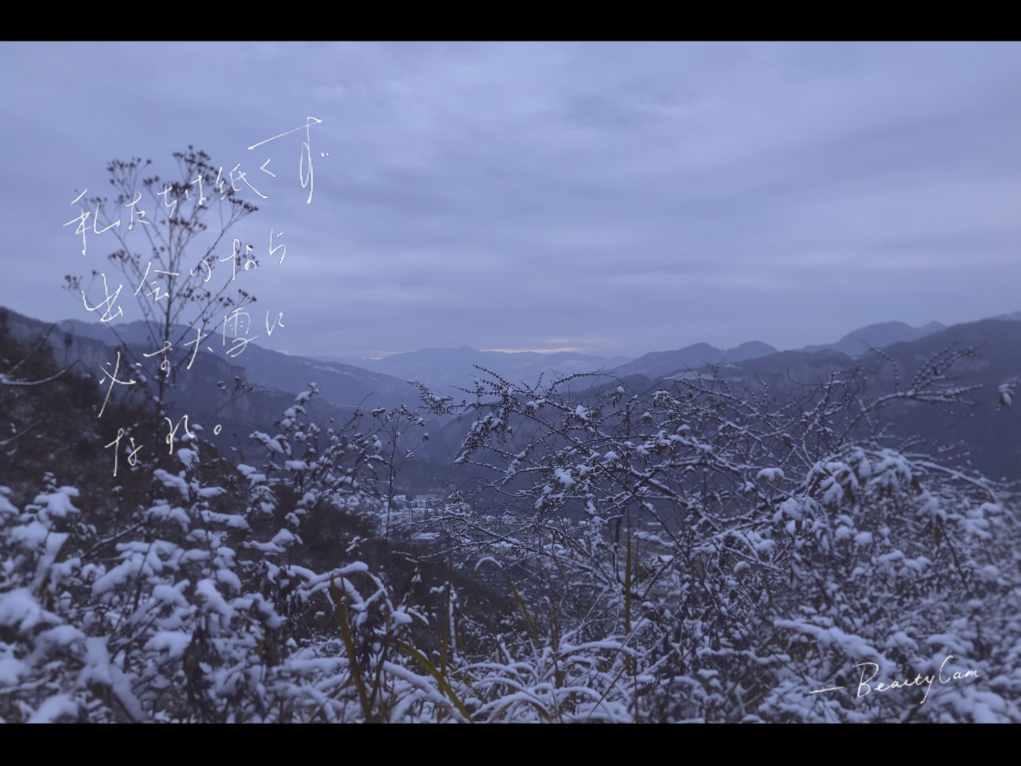 孤岛惊魂5