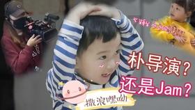 格斗巅峰大作战1.1