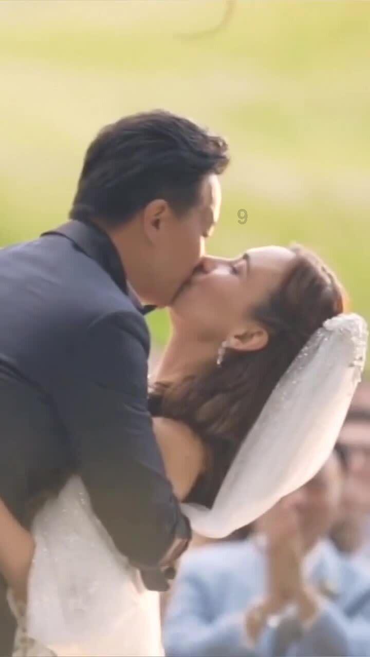 五彩鹦鹉救援