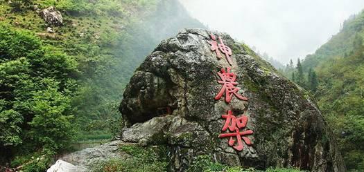 救援小蝙蝠