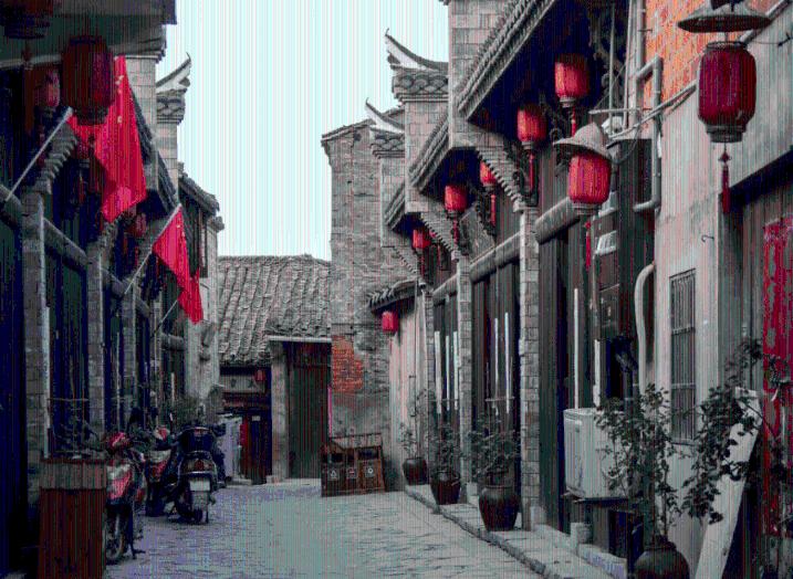动物帮帮忙保卫家园